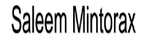 Saleem Mintorax logo