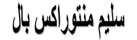 سلیم منتوراکس بال logo