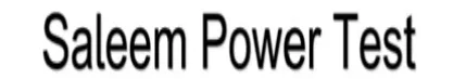 Saleem Power Test logo