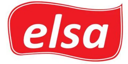 elsa logo