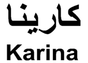 Karina logo