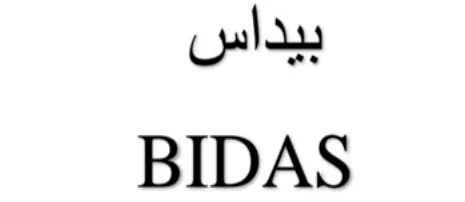 BIDAS logo