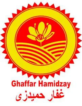 غفار حمیدزی logo