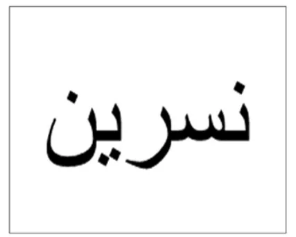 نسرین logo