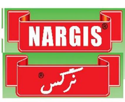 NARGIS logo