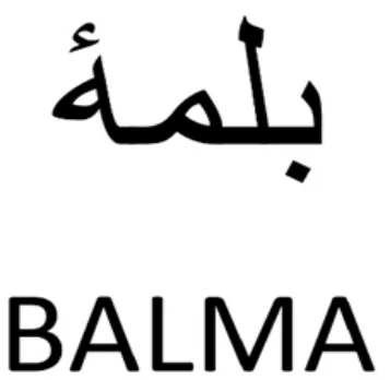 BALMA logo