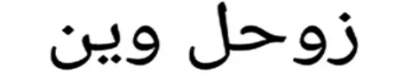 زوحل وین logo