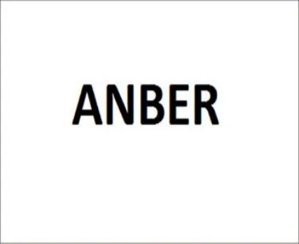 ANBER logo