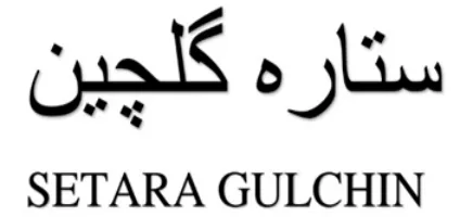 SETARA GULCHIN logo